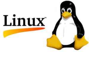 TRAINING BACKTRACK PENTEST