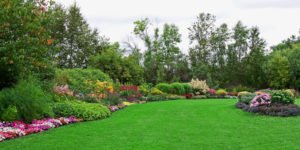 Pelatihan Landscape dan Pertamanan